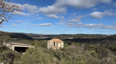 Valderrobres.- Finca de Almendros con másico y almacén, immagine 2