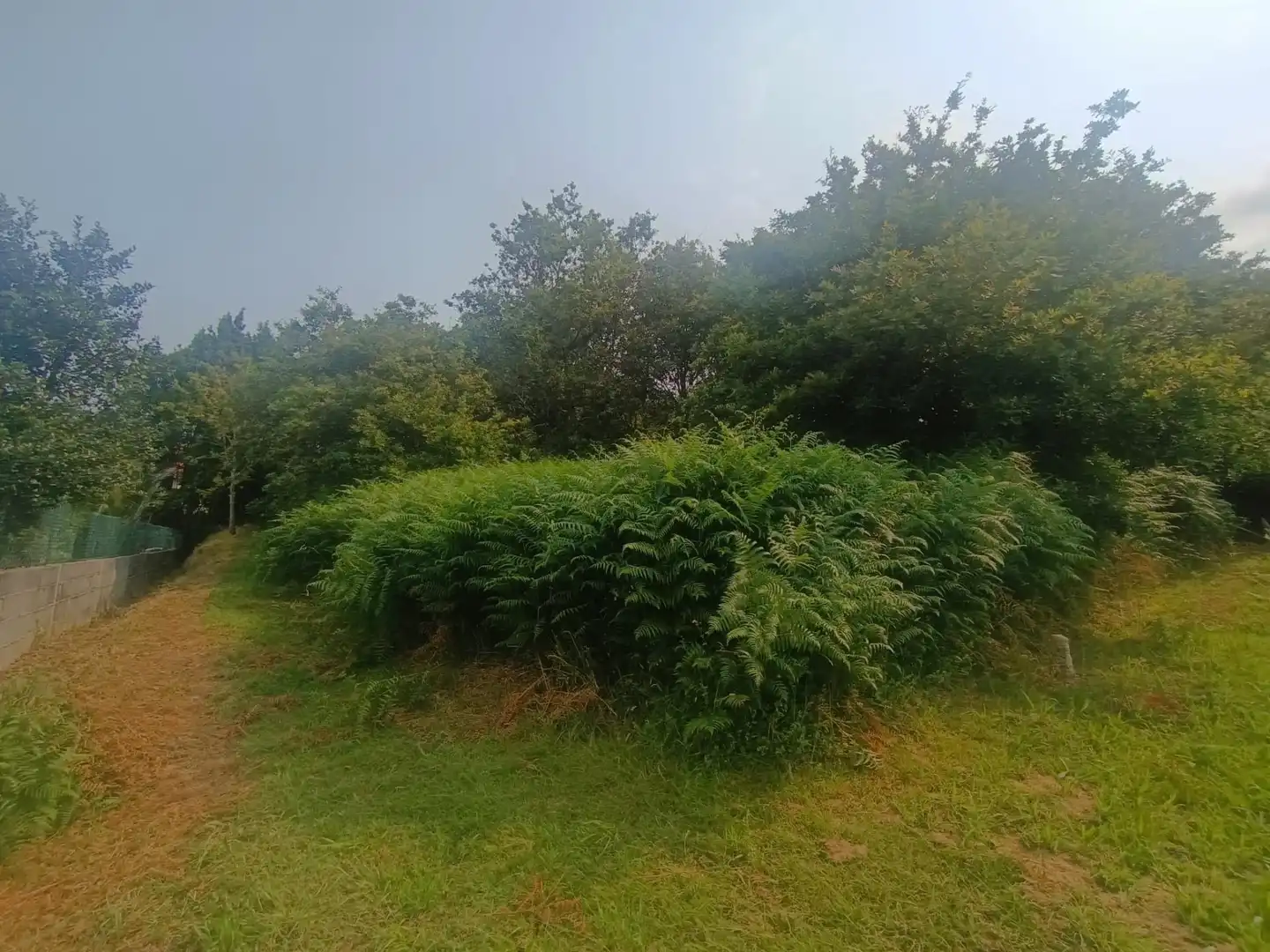 Rural land for sale in Camino SAN XURXO-SAIANS 20, imagen 6