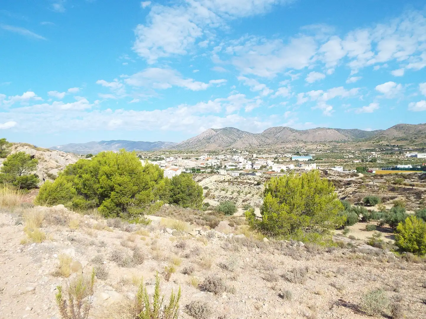 Lands and plots for sale in Abanilla, imagen 8