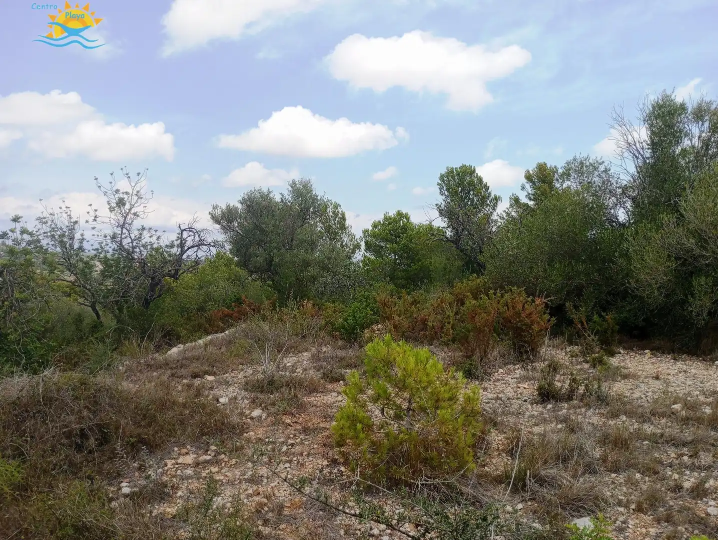 Maison rustique à vendre à CALIG CASTELLON 12589, imagen 16