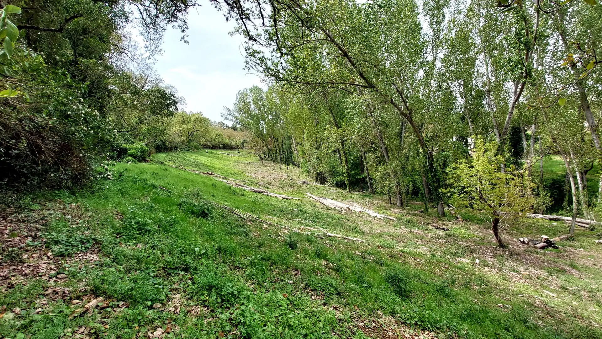 Terreni e lotti in vendita a Galaroza, imagen 18