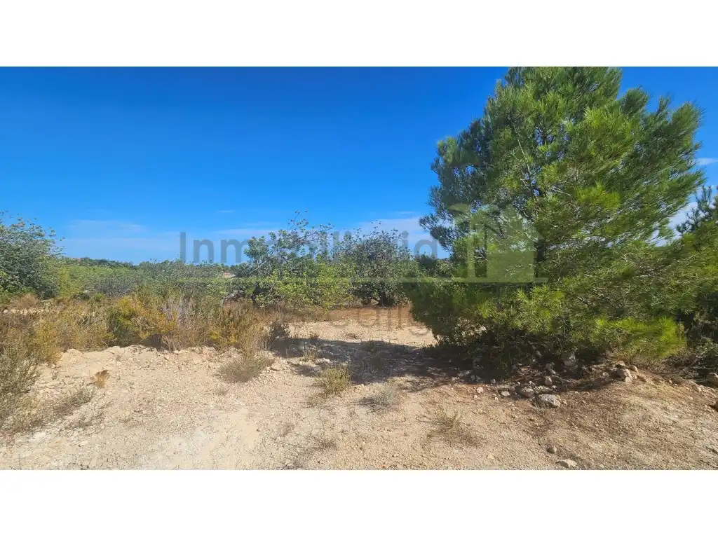 Rural land for sale in Poligono 37 Paraje 351 T Cerver, imagen 9
