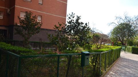 Foto 4 de Pis de lloguer a Calle Fray Juan Sánchez Cotán, Cartuja, Granada Capital