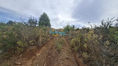 TERRENO RUSTICO 10.600 m2 con Bonitas Vistas  NERJA  RIO DE LA MIEL, CAÑUELO, immagine 5