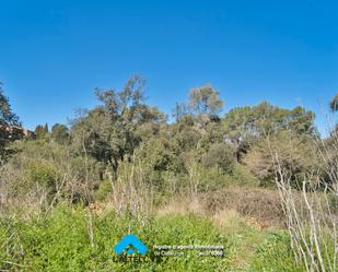 Residencial en venda en L'Ametlla del Vallès