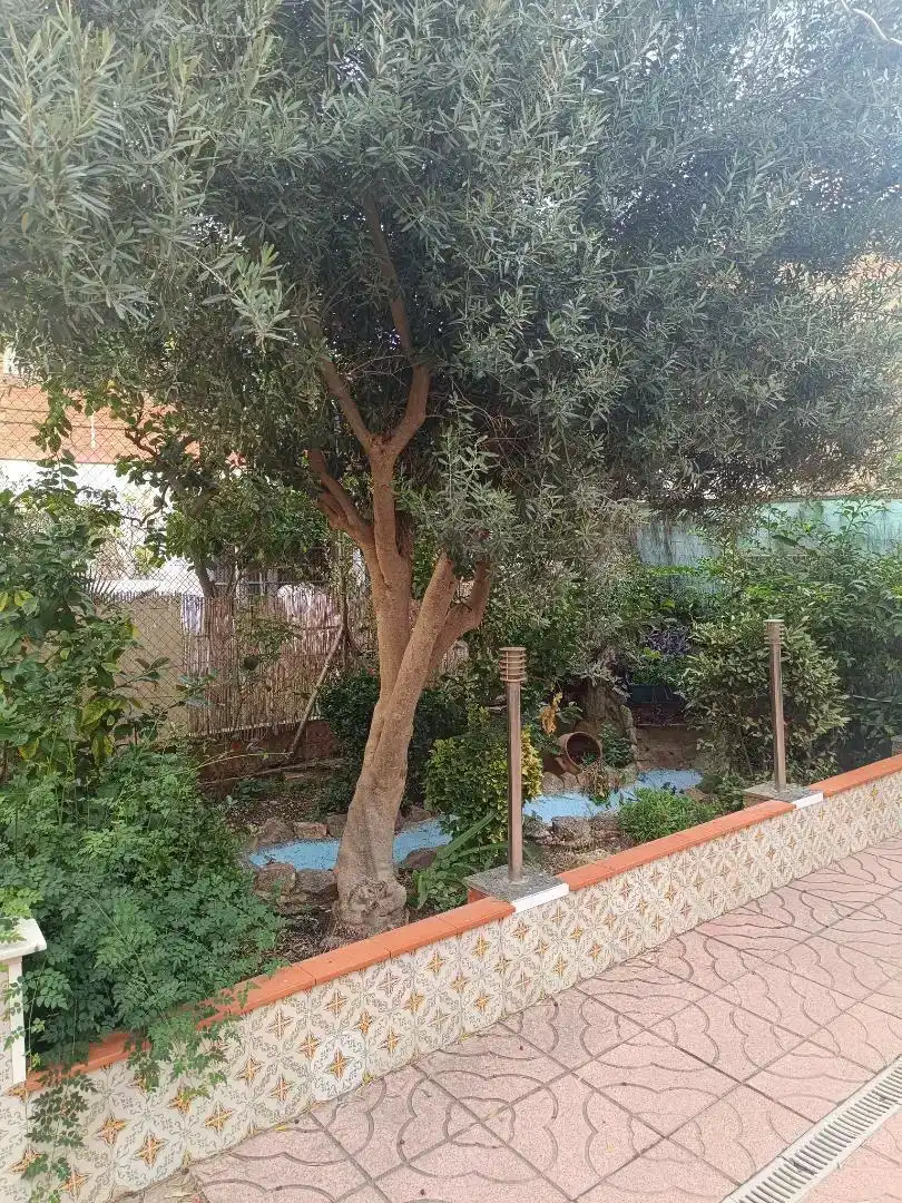 Jardí de Pis en venda en Riu Nord