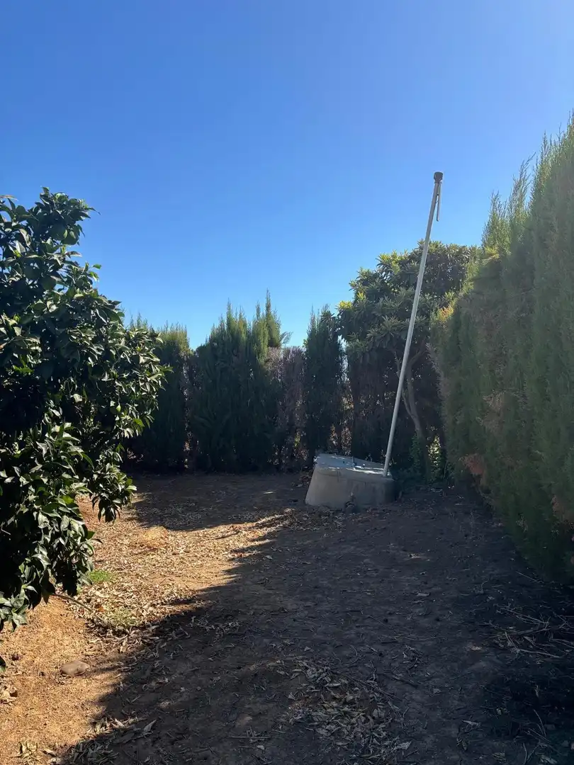 Casa rústica amb piscina en venda a Cantillana, imagen 15