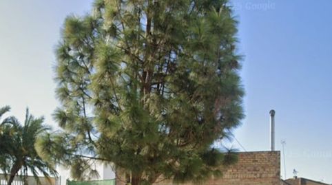 Foto 5 de Casa o chalet en venta en Calle la Pinta, La Puebla del Río, Sevilla