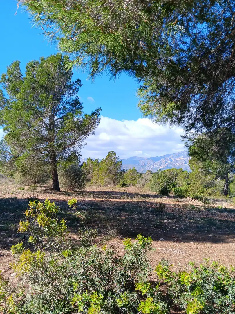 Casa o xalet en venda en Tortosa amb Terrassa i Balcó