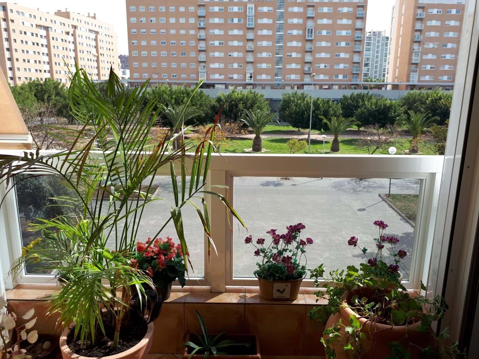Terrassa de Pis en venda en Alicante / Alacant