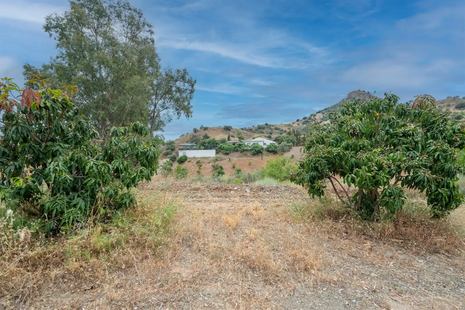 Casa o xalet en venda en Cártama