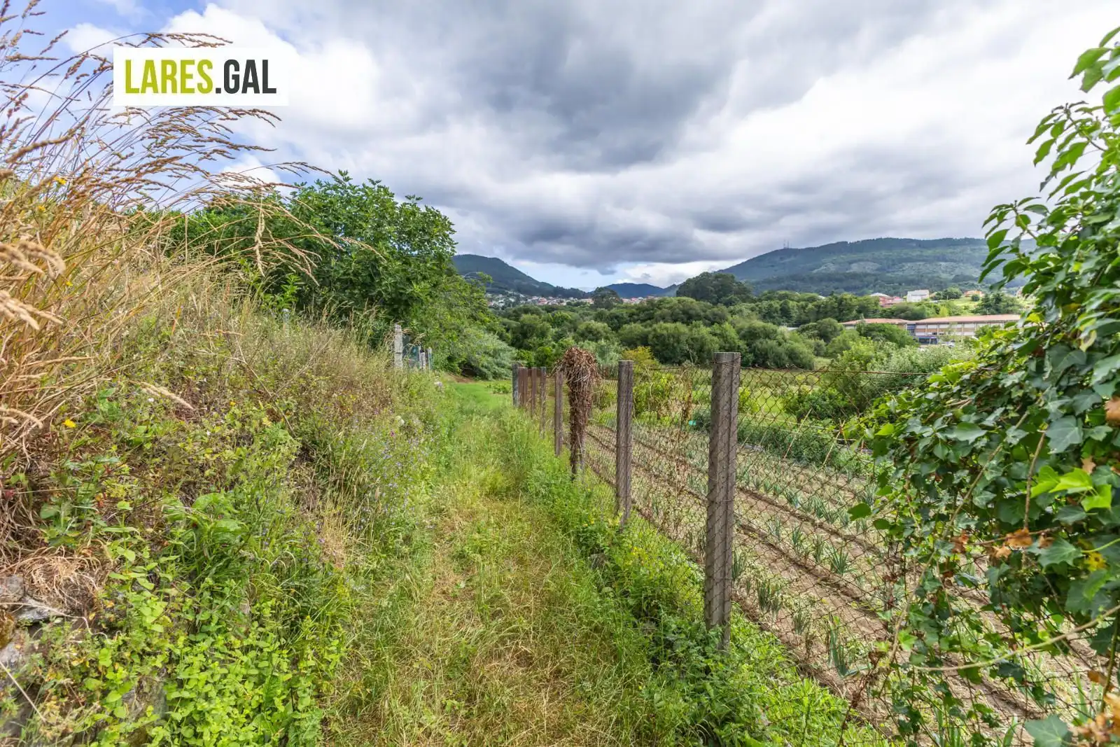 Terrain rustique à vendre à Lugar de Pozonegro, imagen 16