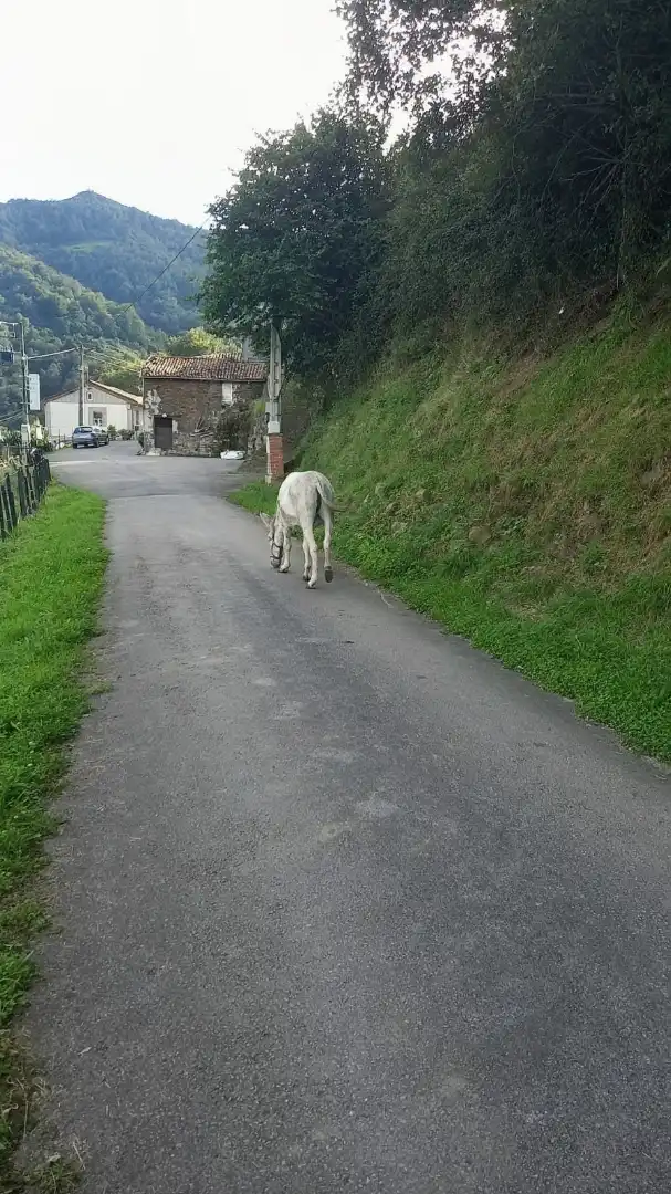 Außenansicht von Einfamilien-Reihenhaus zum Verkauf in Langreo mit Heizung, Parkett und Terrasse