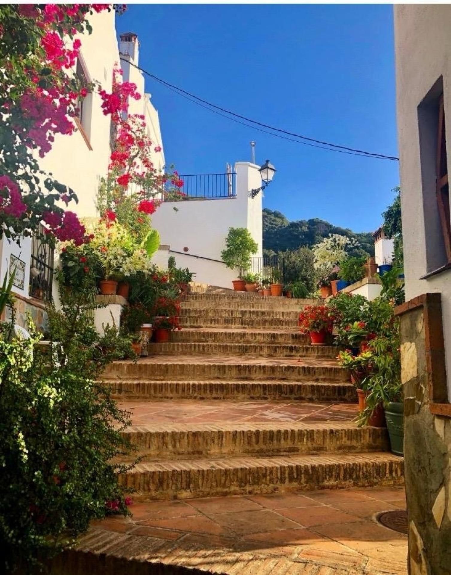 Exterior view of Country house for sale in Genalguacil
