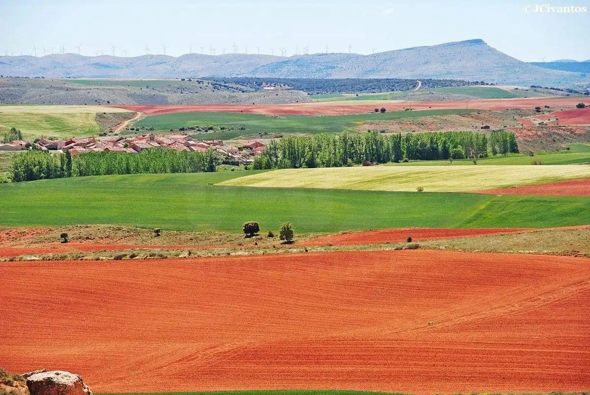 Exterior view of Land for sale in Morón de Almazán