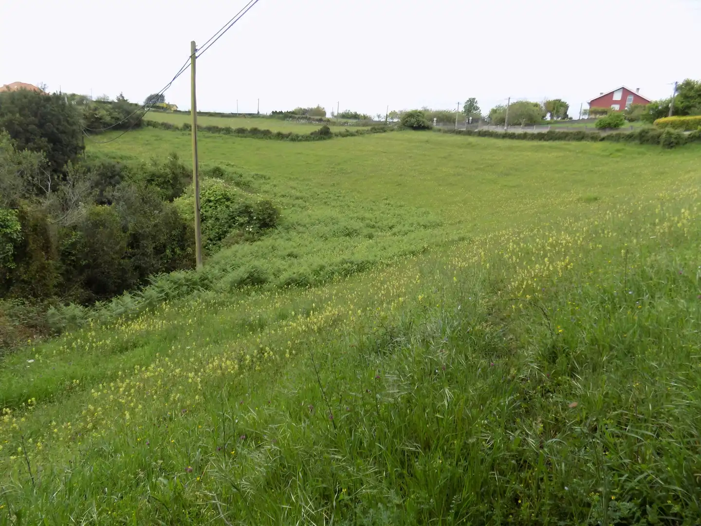Terreny residencial en venda a Rural, imagen 4