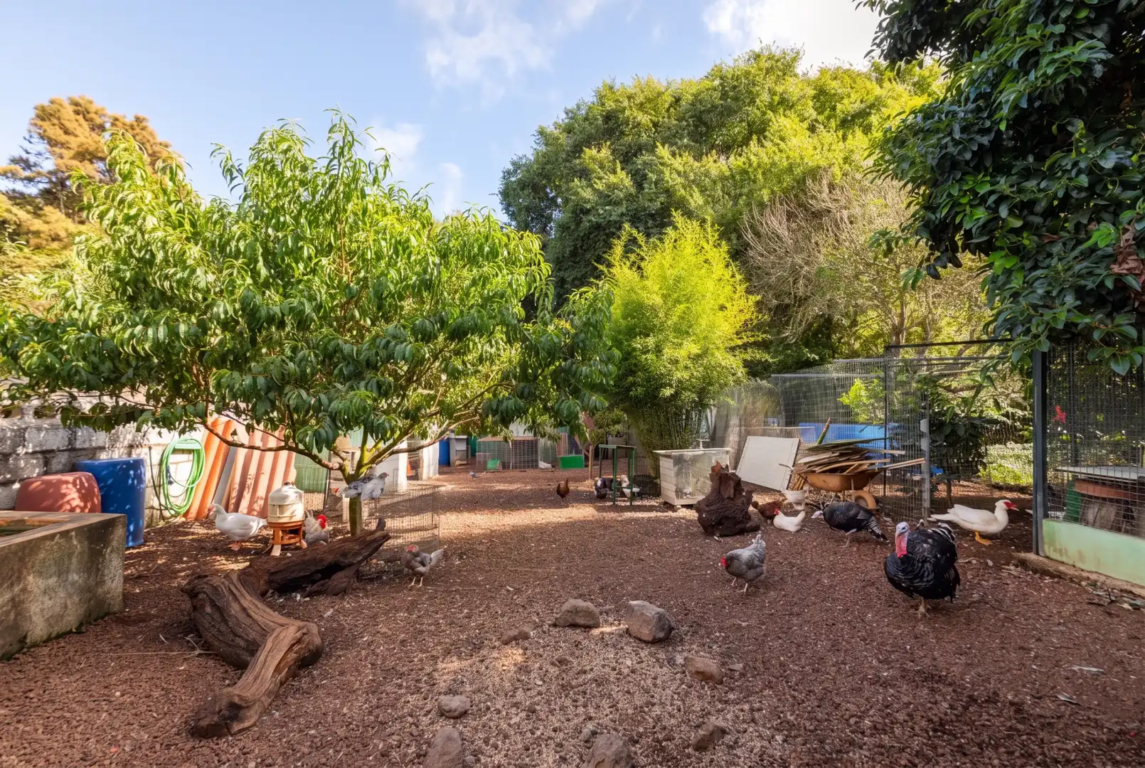 Jardí de Casa o xalet en venda en Guamasa - El Ortigal - Los Rodeos