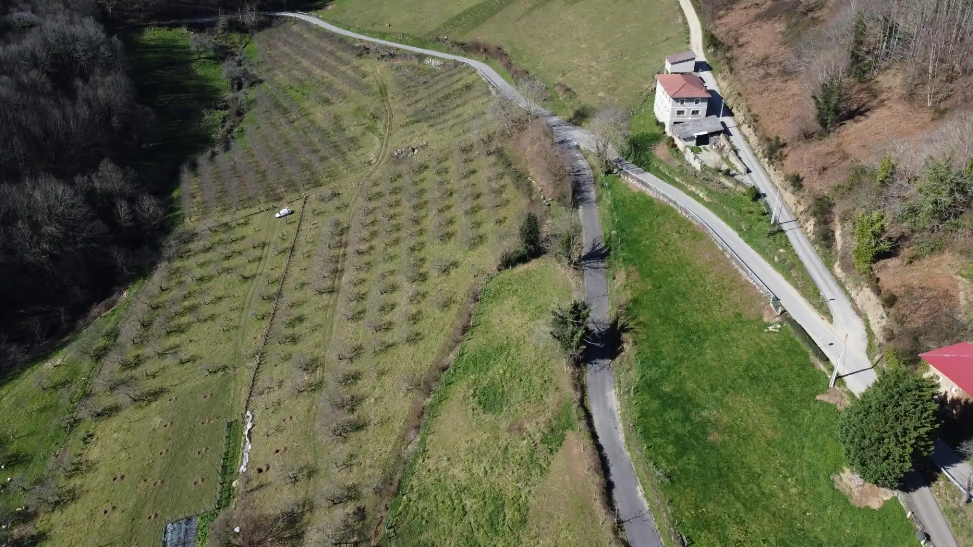 Country homes for sale in Allande  with Private garden