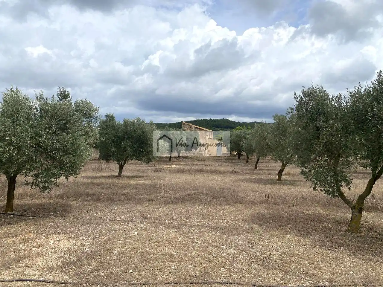 Terreno rustico in vendita a Burga, imagen 16