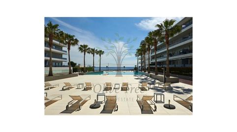 Foto 2 de Apartament en venda a Avenida Pere Matutes Noguera, Ses Figueretes - Platja d'en Bossa - Cas Serres, Eivissa