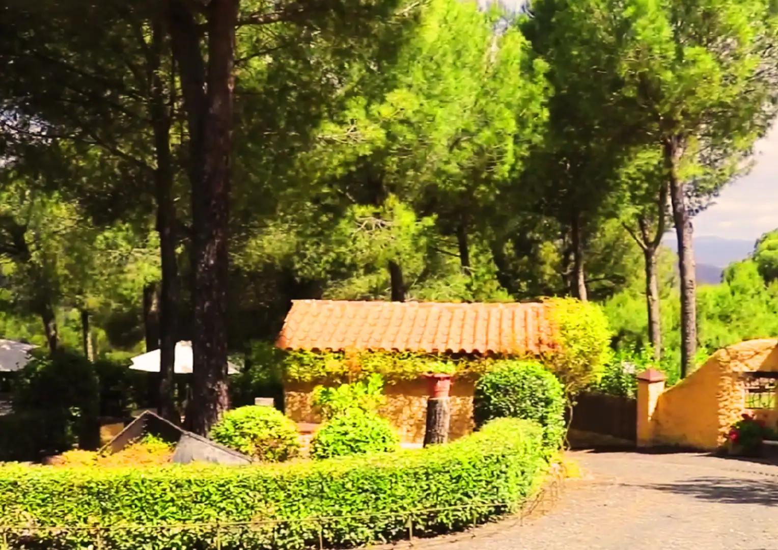 Garden of Buildings for sale in Calañas  with Community pool