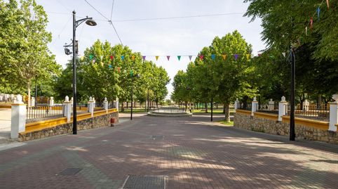 EXCLUSIVA FINCA CON 30.000 m2 DE SUELO URBANIZABLE EN OGÍJARES GRANADA  VIVIENDA, PISCINA Y GRAN POTENCIAL DE INVERSIÓN, immagine 3