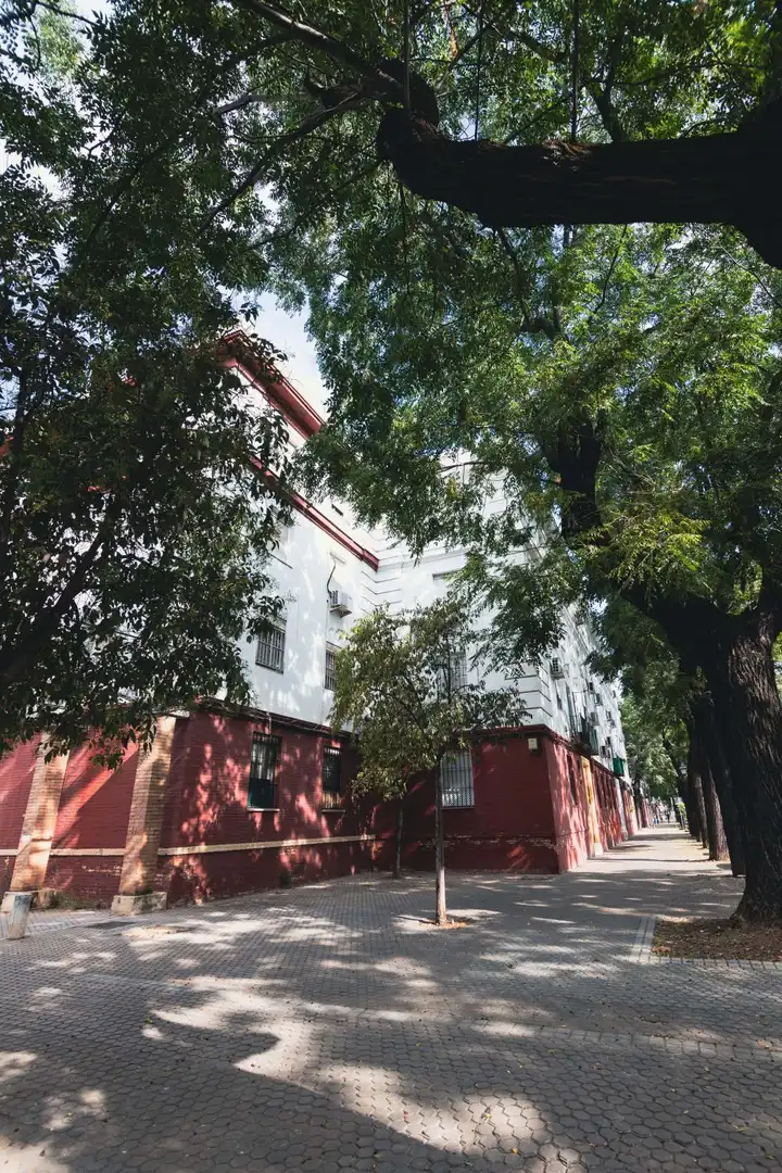 Vista exterior de Pis en venda en Bellavista - La Palmera