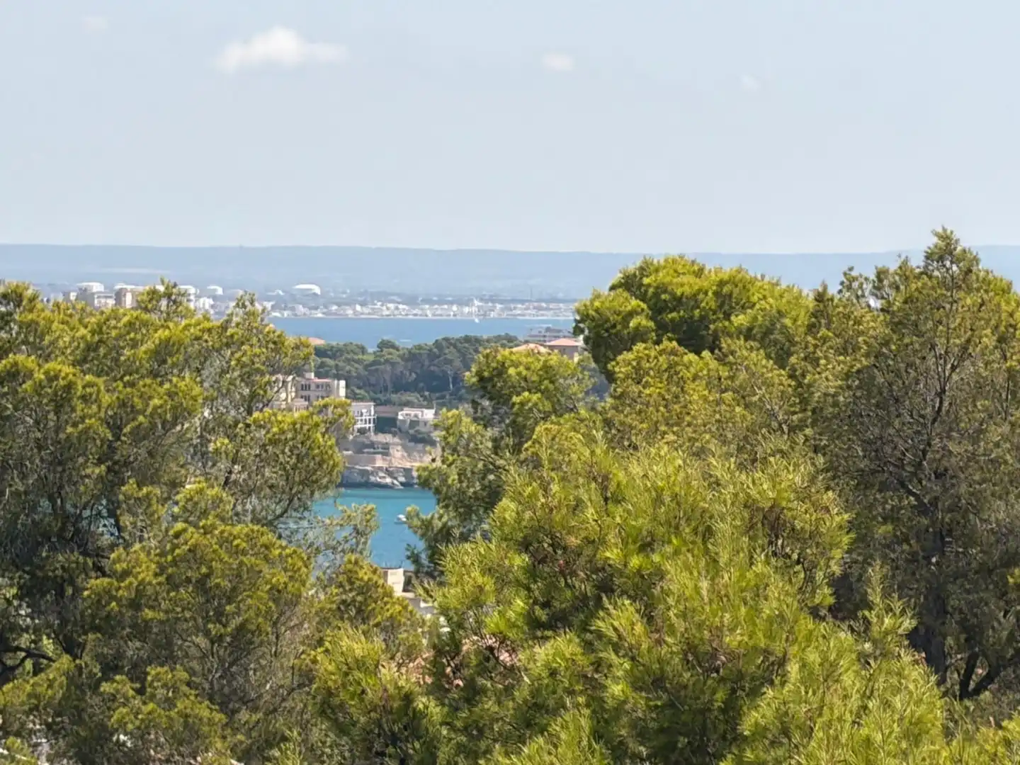 Houses for sale in Calvià  with Storage room