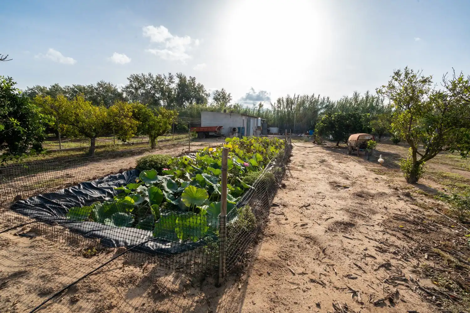 Country house zum Verkauf in Tortosa mit Privatgarten, Terrasse und Abstellraum