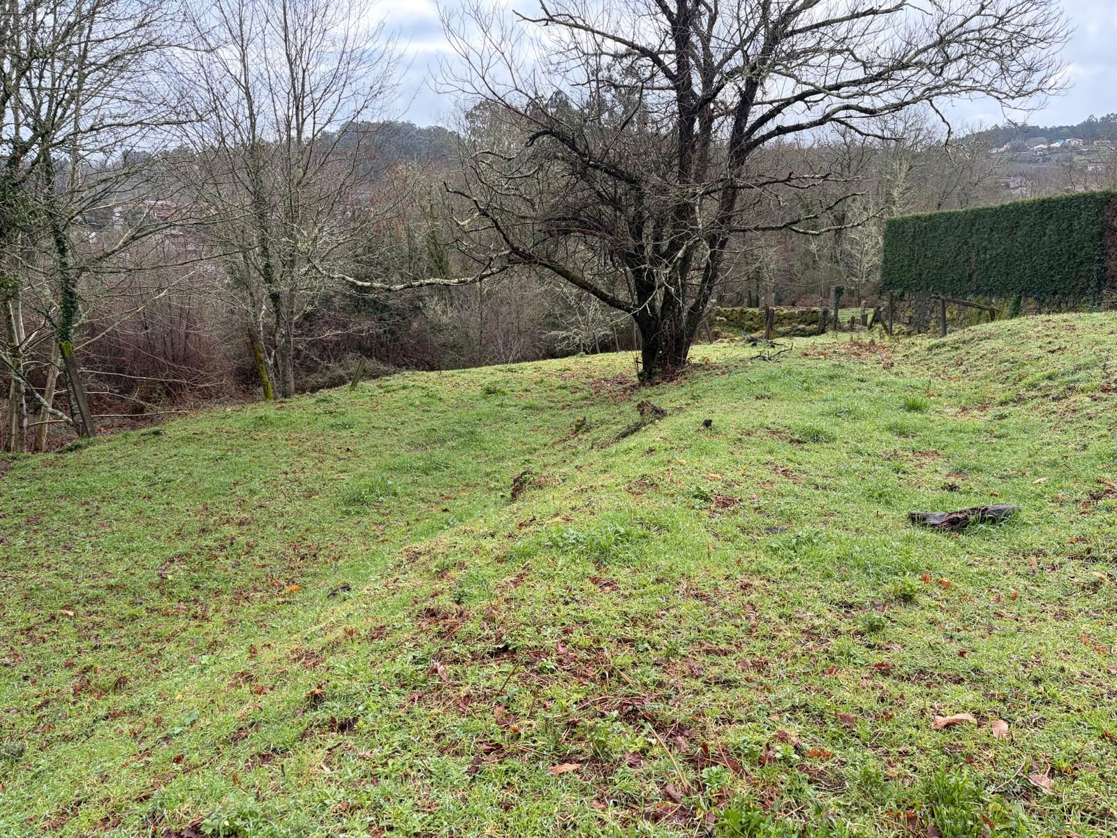 Casa adosada en venta en Mondariz-Balneario con Jardín privado