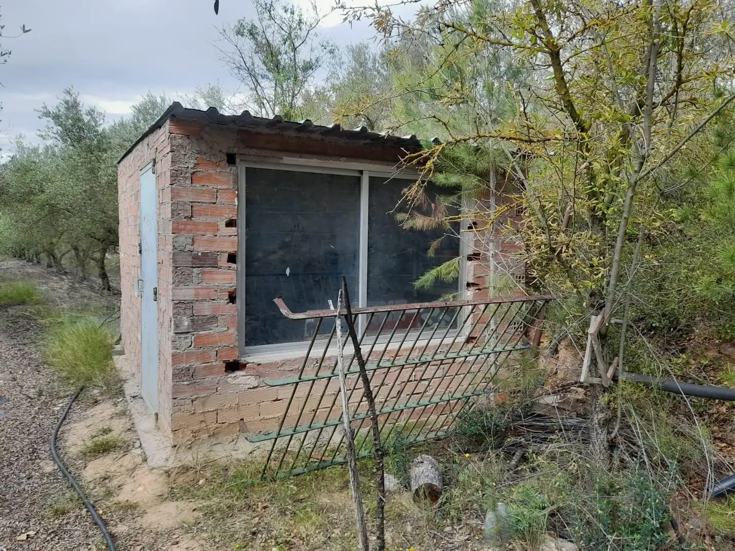 Terreno rústico en venta en Ascó, imagen 12