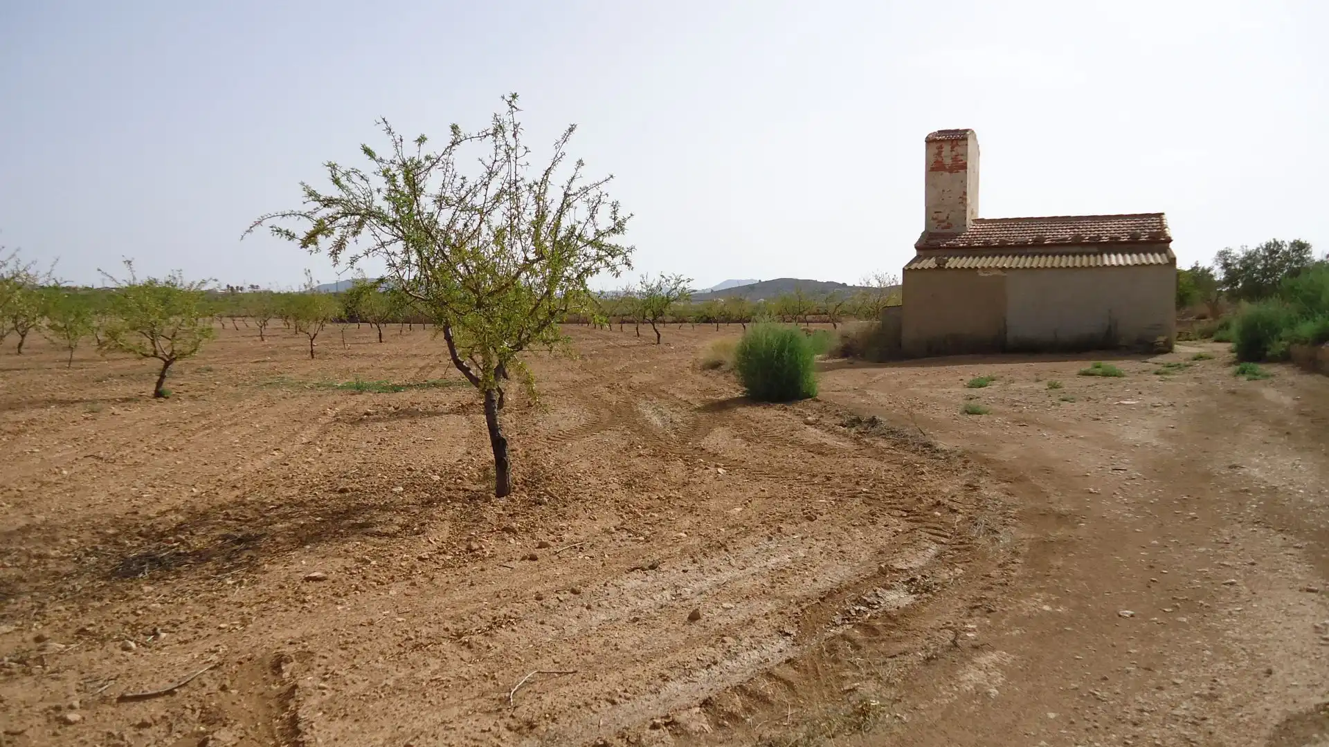 Rustikales Grundstück zum Verkauf in Jumilla, imagen 7
