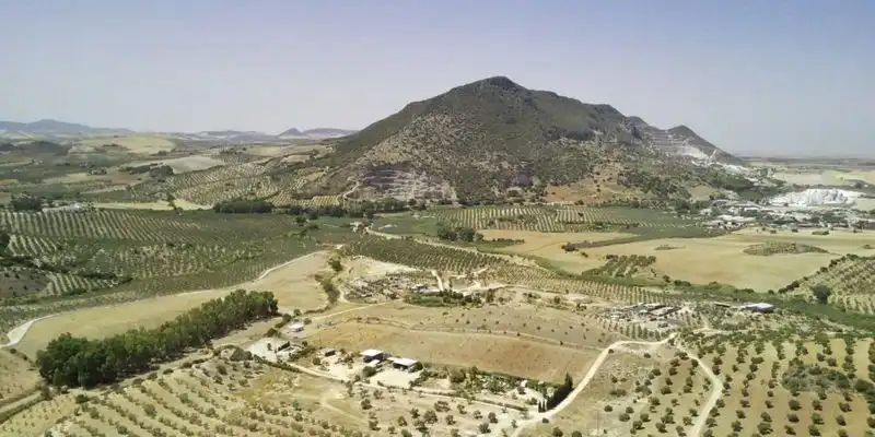 Exterior view of Land for sale in Morón de la Frontera