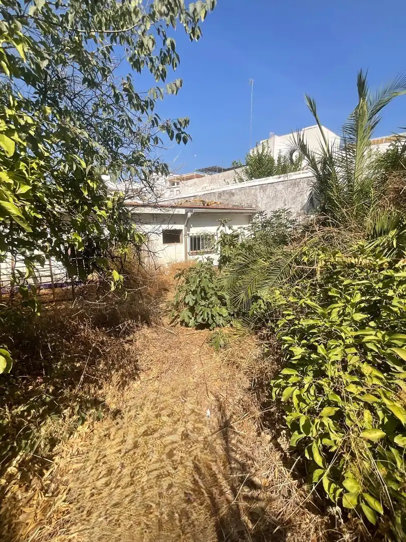 Detached homes for sale in Centro