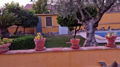 Photo 3 of Land for sale in Cortijo el Rubio, Santa Cruz, Córdoba