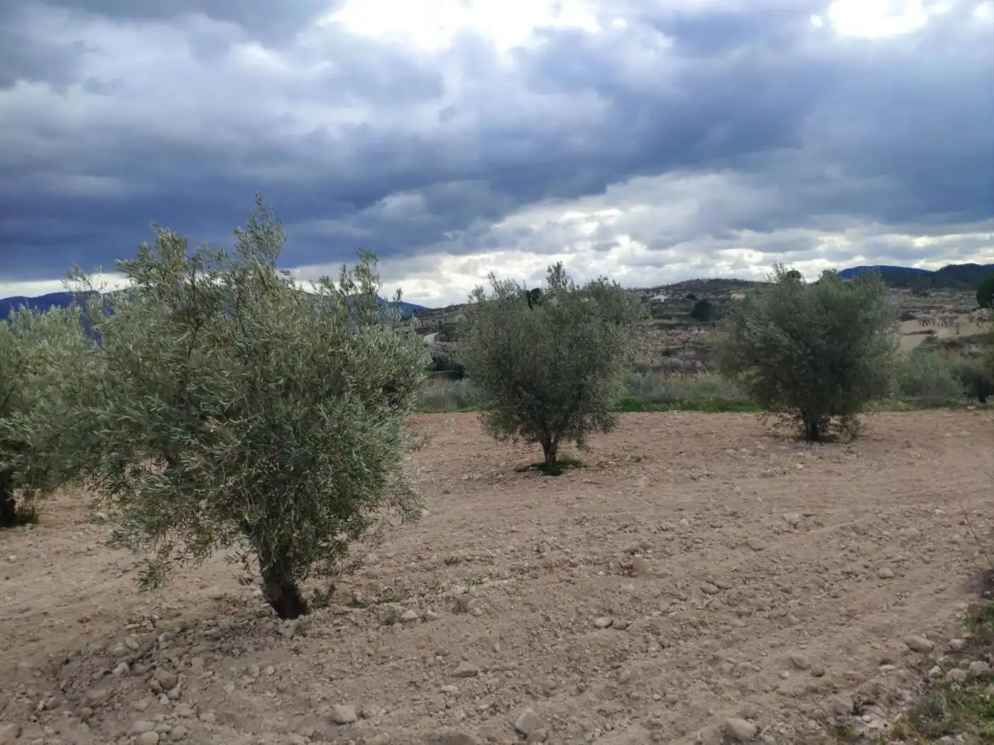 Terrain rustique à vendre à Calle Molinete 23, imagen 2