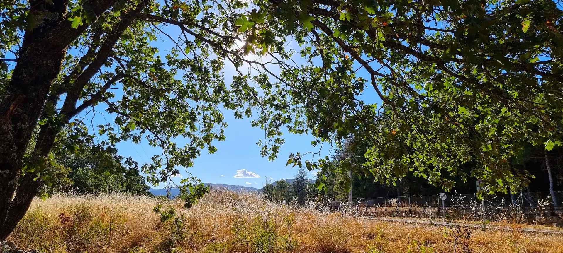 Terreno rustico in vendita a Carretera de Valdemanco 33, imagen 9