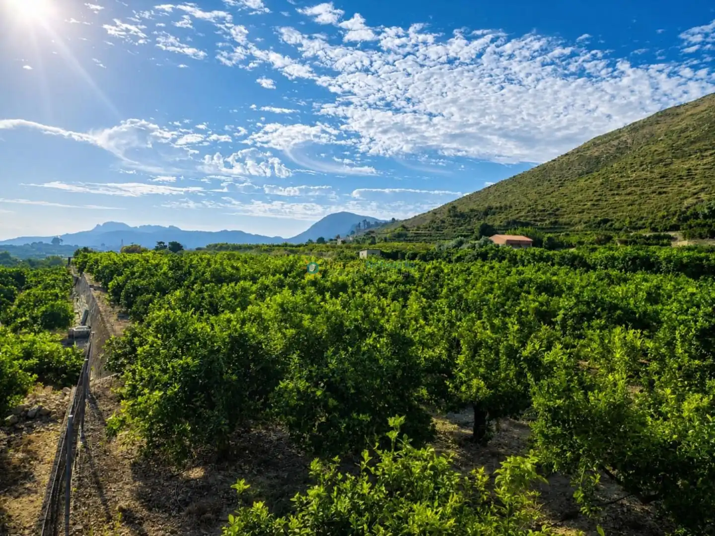 Rural land for sale in Pego, imagen 5