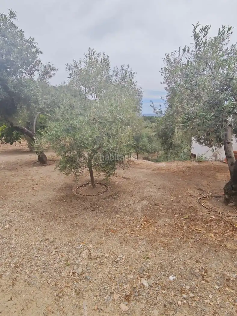 Xalet amb jardí en venda a Calle Carrera de la Virgen 22, imagen 23