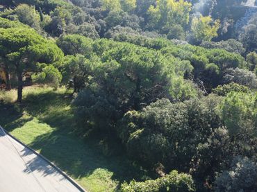 Terreno residenziale in vendita a Sant Pere de Vilamajor