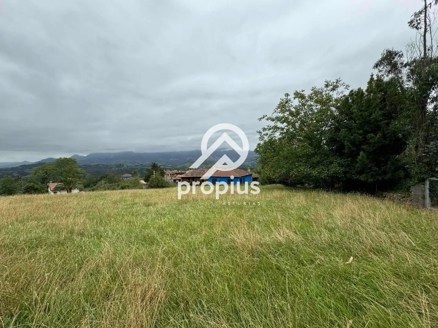 Rural land for sale in Arenas, imagen 32
