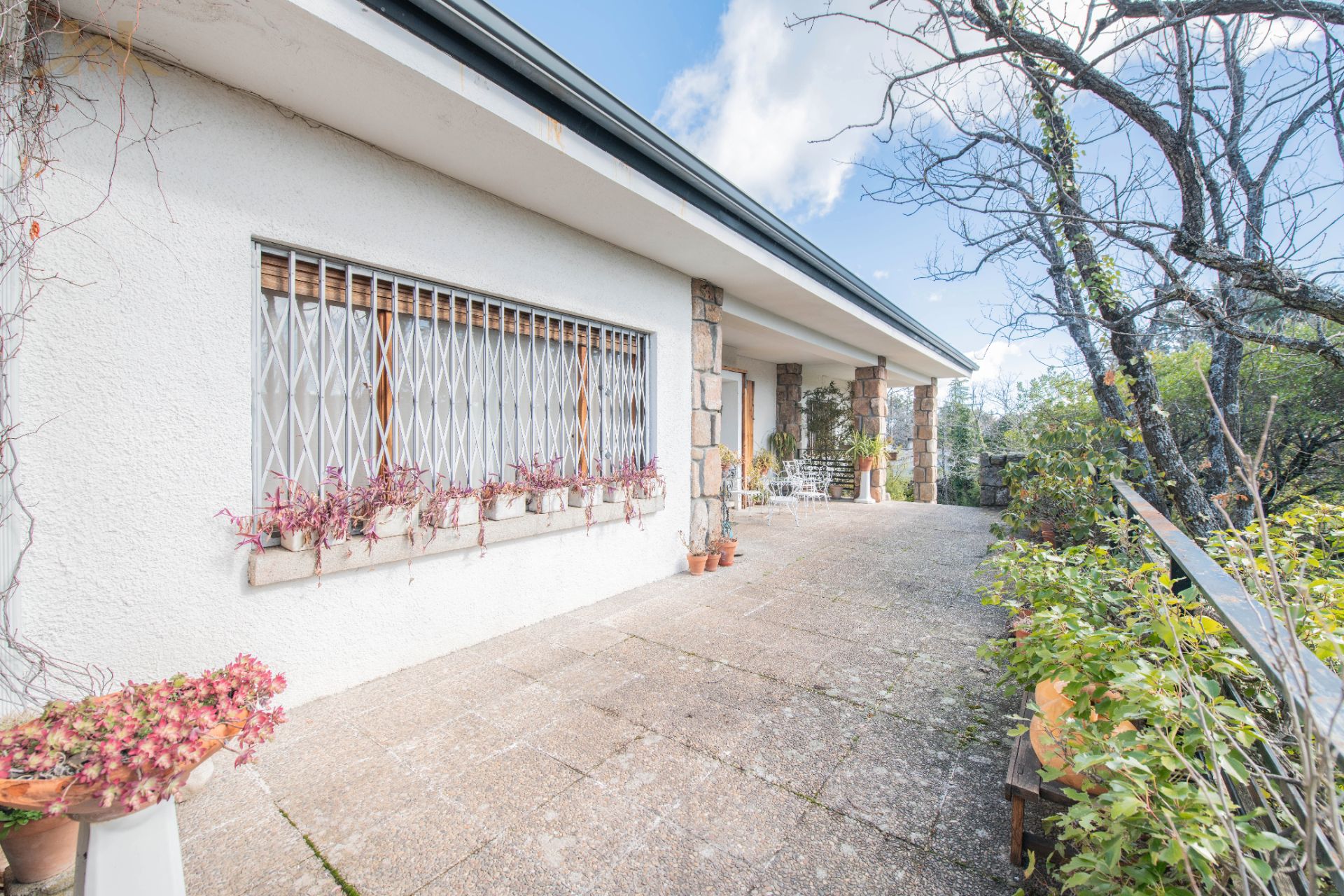 Vista exterior de Casa o chalet en venta en Moralzarzal con Calefacción, Jardín privado y Terraza