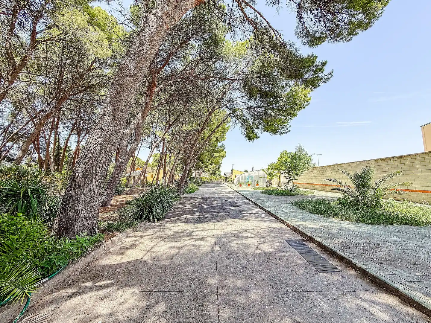 Vista exterior de Casa o xalet en venda en Yecla amb Terrassa i Moblat