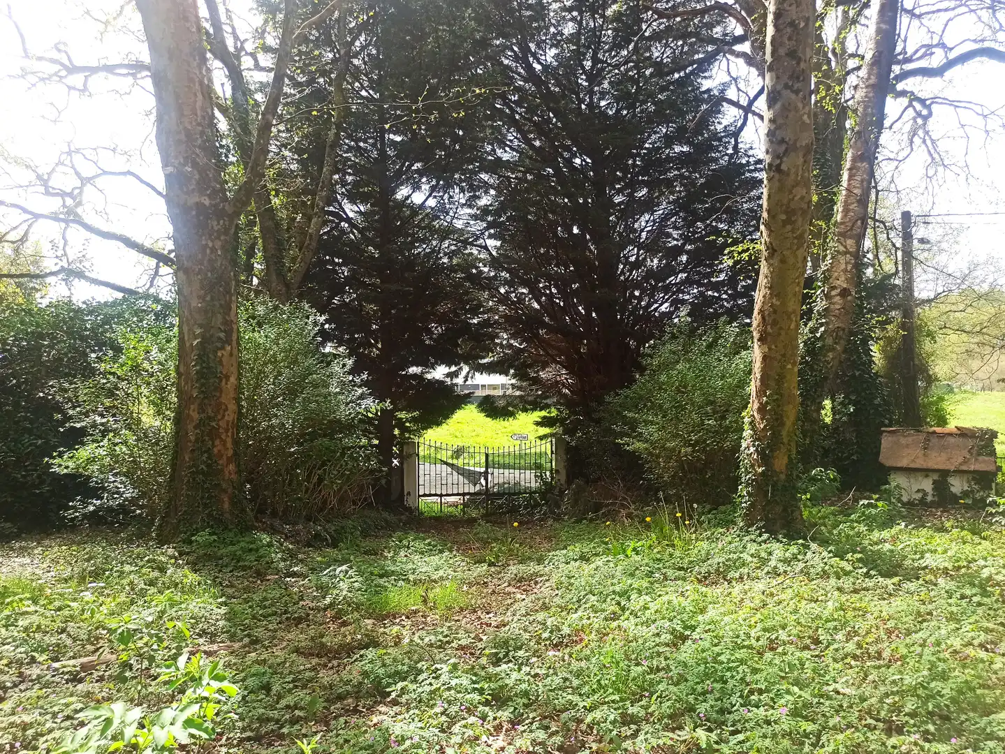 Terreni e lotti in vendita a Parroquias del Este, imagen 19