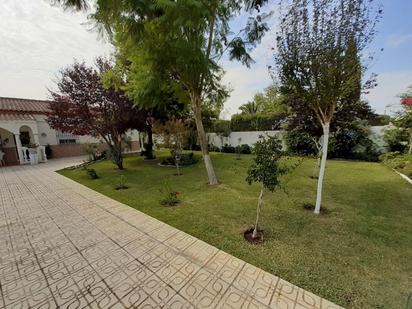 Jardí de Casa o xalet en venda en Utrera amb Terrassa, Traster i Piscina