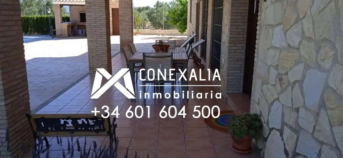 Vista exterior de Finca rústica en venta en Algodonales con Piscina