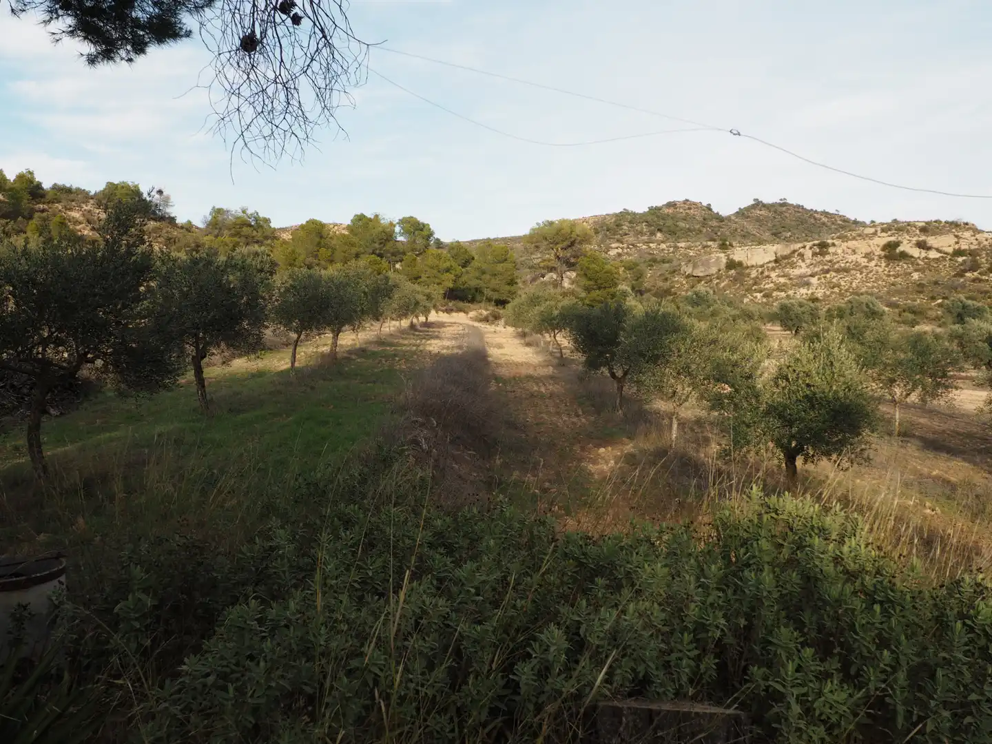 Terreno en venta en Flix