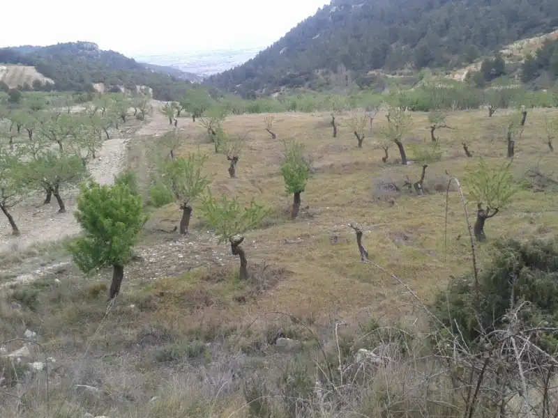 Lands and plots for sale in C/ Las Lagunas, imagen 6