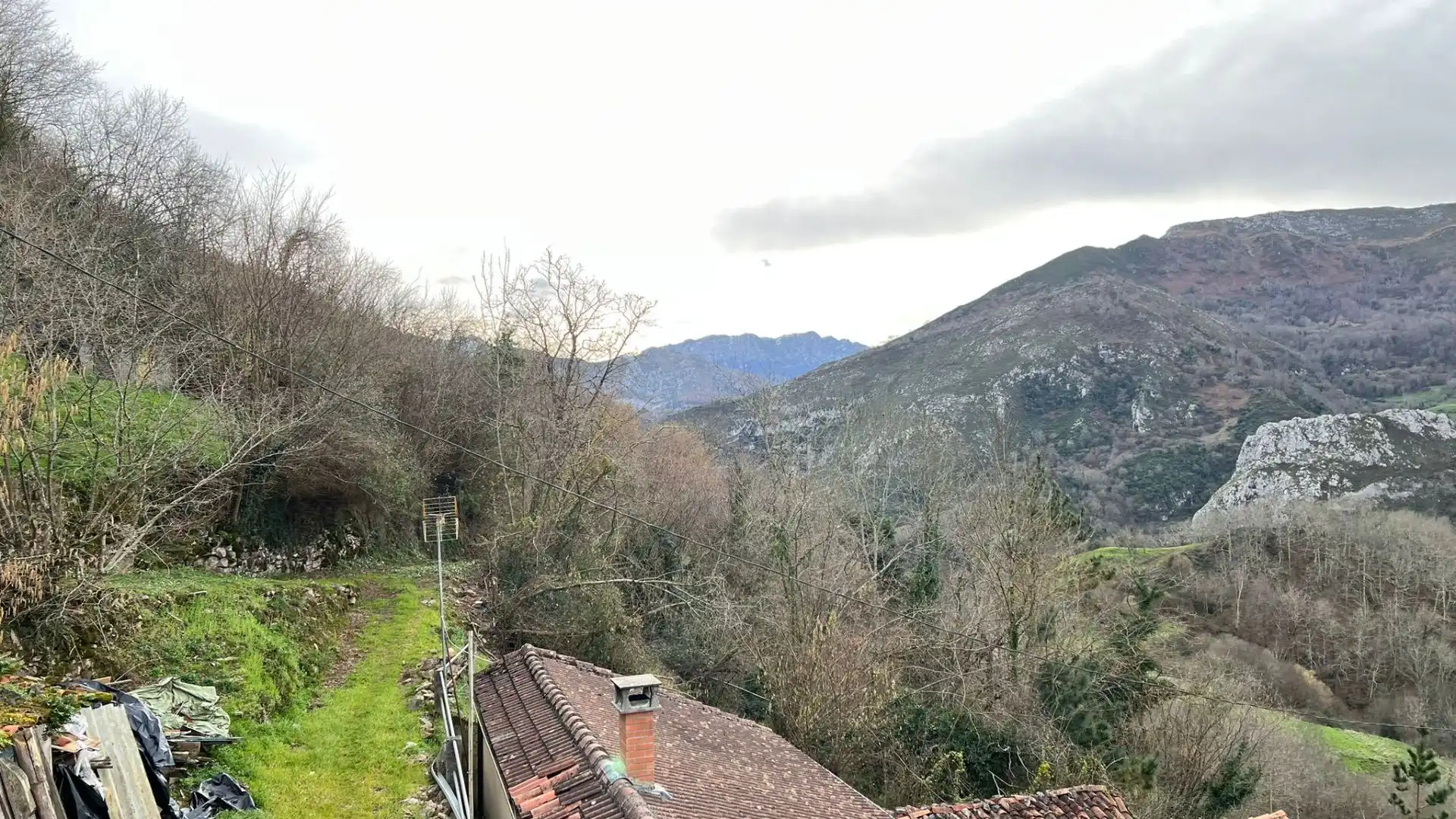 Exterior view of Houses for sale in Amieva