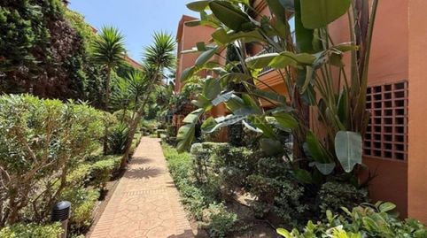 Foto 3 de Planta baixa de lloguer a Benatalaya, Estepona